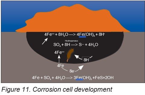 Autocatalytic corrosion-cell development.