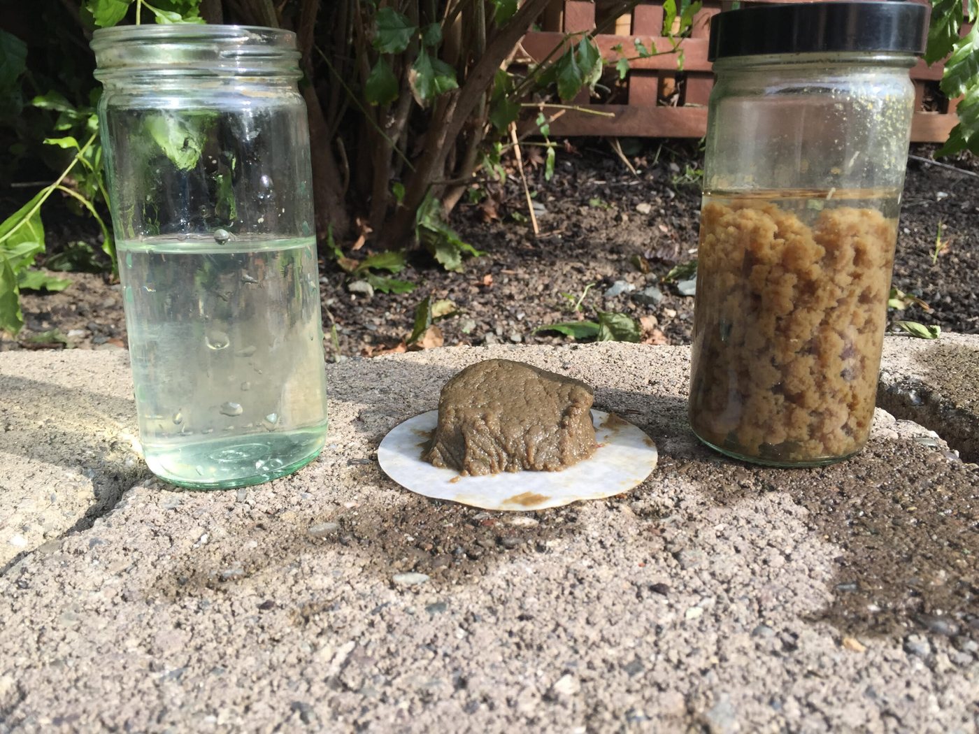 Treated water (left) clarifies while untreated stays turbid (right).