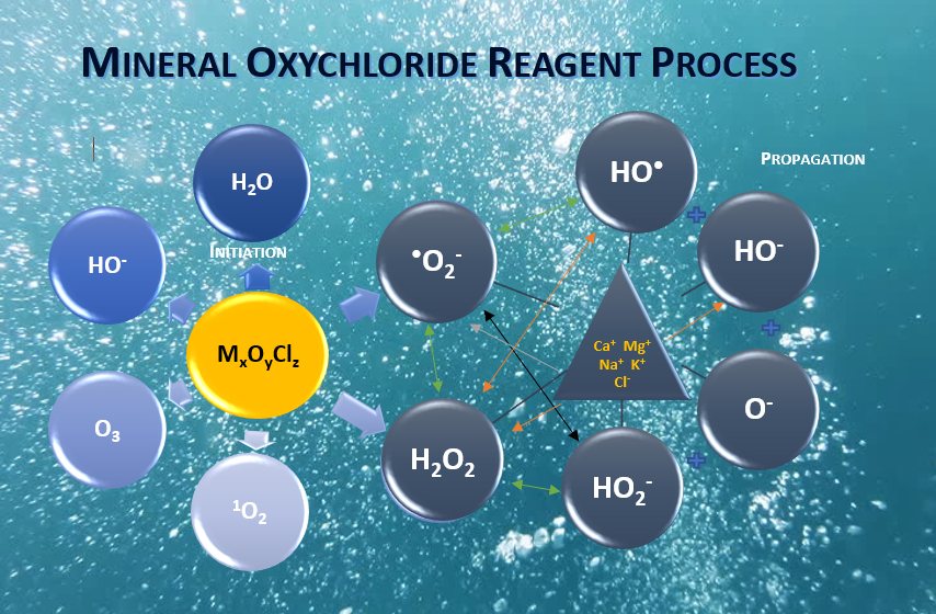 The mineral oxychloride reagent process and the reactive oxygen species it generates.