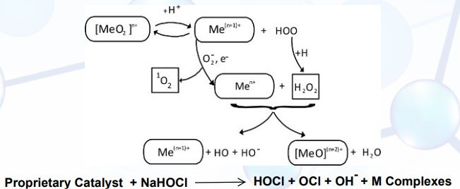 Reaction pathway: the proprietary catalyst plus NaHOCl yields hydroxyl and oxychloride complexes.