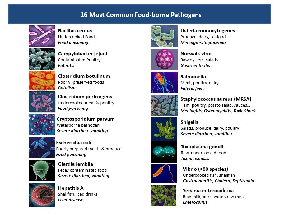 The 16 most common food-borne pathogens JC 9465 targets.