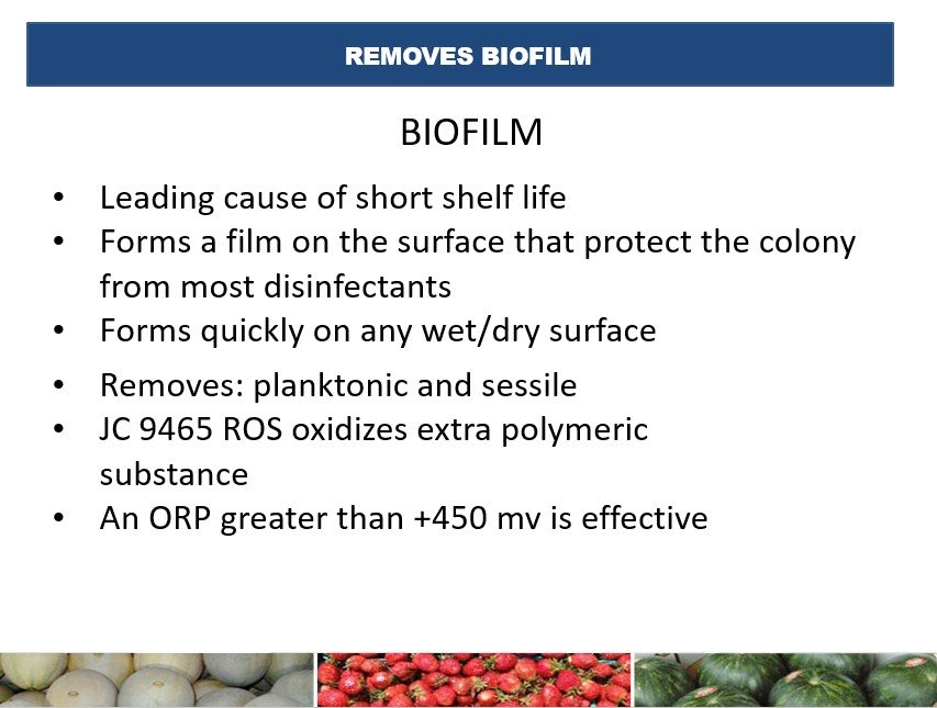 Why biofilm control is central to food preservation.