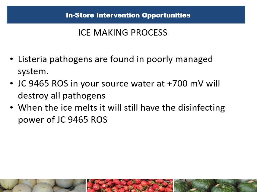 Treating ice-making water carries disinfection through to melt.