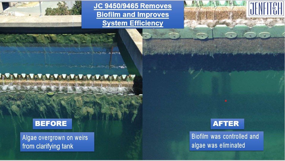 Before and after: algae overgrowth on clarifier weirs eliminated after treatment.