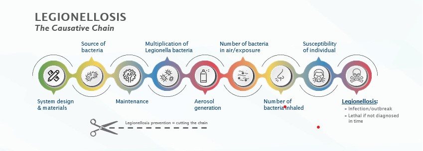 The causative chain of legionellosis.